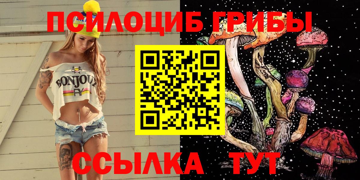 Псилоцибиновые грибы GOLDEN TEACHER Луга
